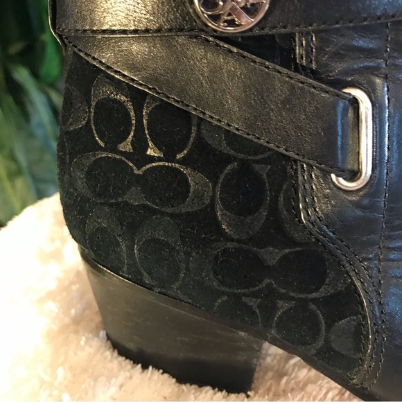 Coach - Picture 5 of 11